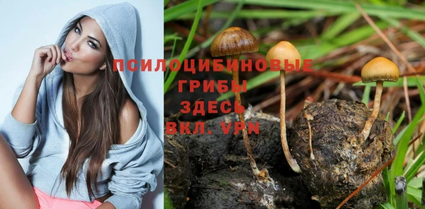 герыч Аркадак