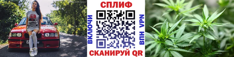 Конопля семена Аша